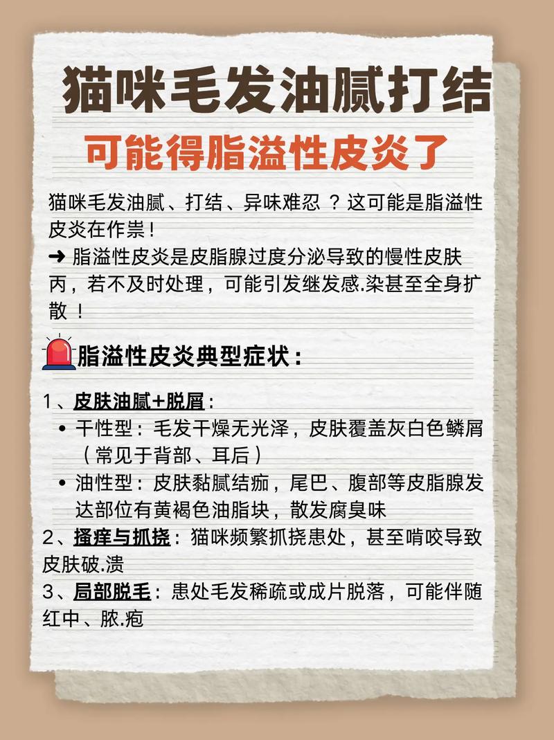 猫溢脂性皮炎怎么治疗