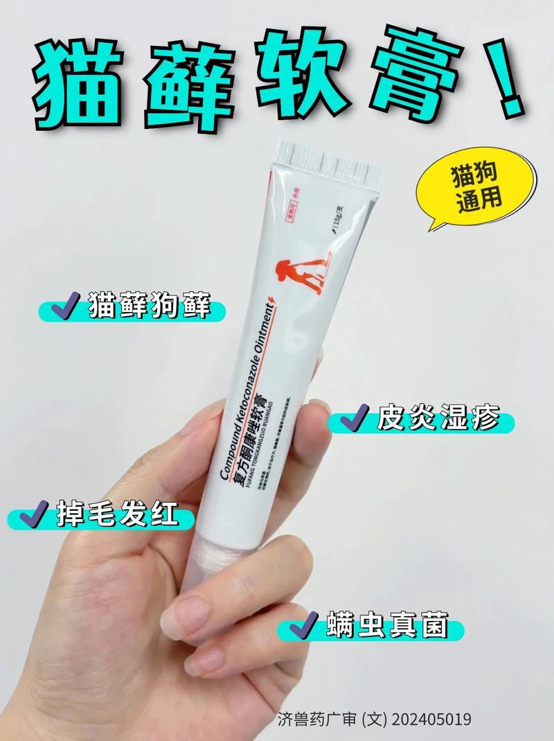 猫咪皮炎用什么药