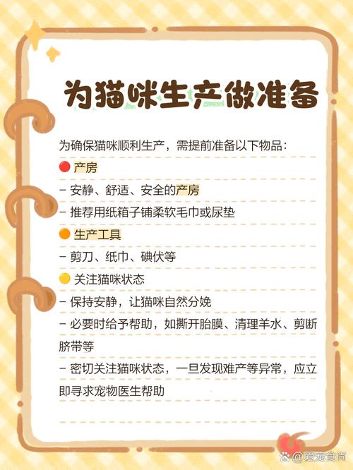 猫一般在几点分娩啊