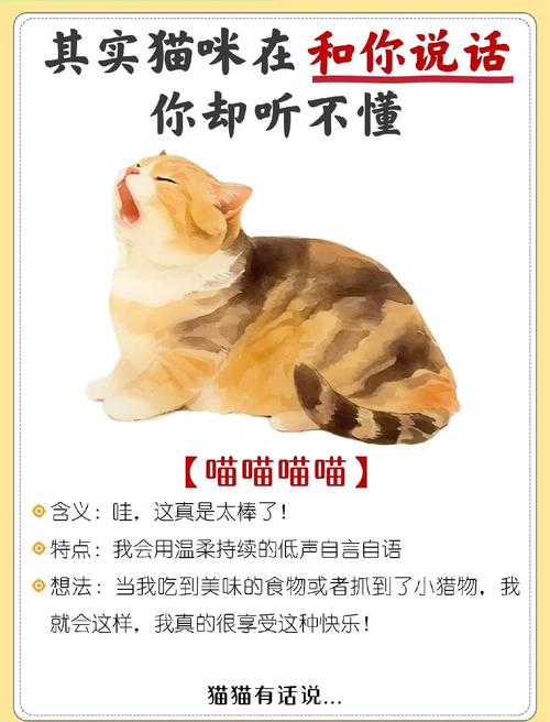 猫咪视频配乐推荐