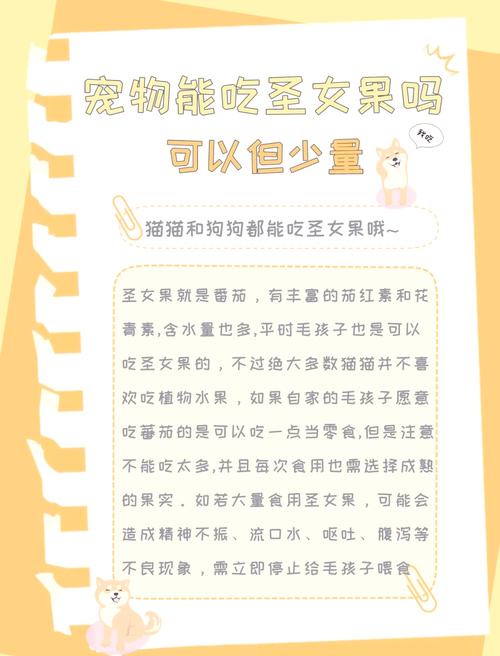 猫咪可不可以吃圣女果