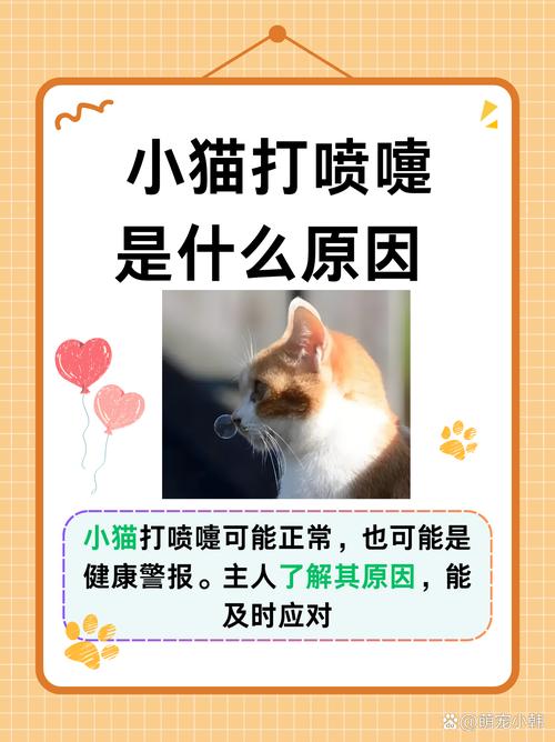 猫咪偶尔打喷嚏正常吗