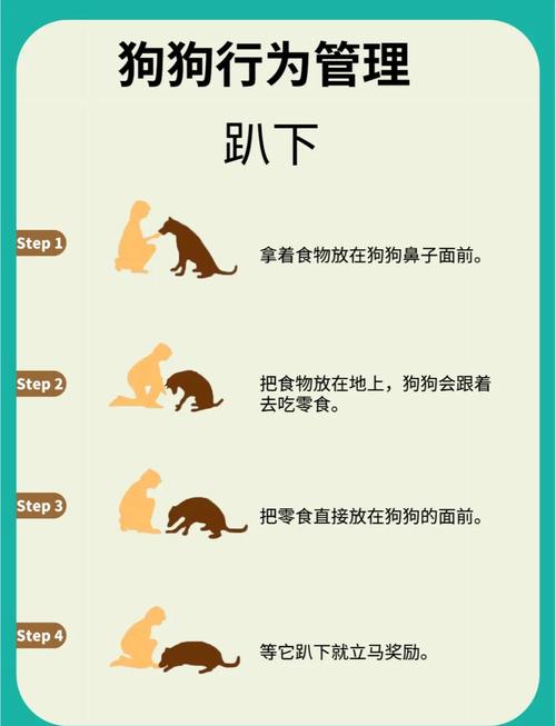 训练狗狗与孩子们游戏,狗狗攻击性强怎么办