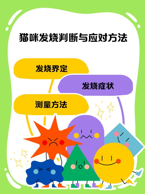 猫咪多少度算发烧?