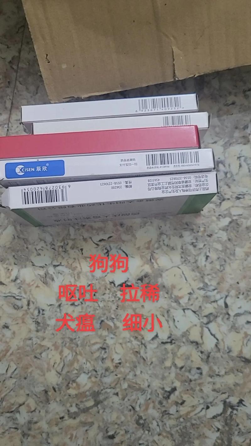 狗拉稀不吃东西没精神吃什么药好的快