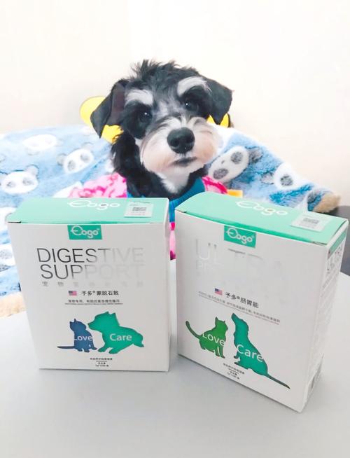 狗狗拉稀了吃什么药