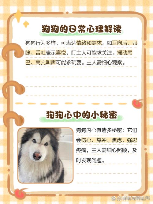 狗狗脑子里每天想的竟是这些