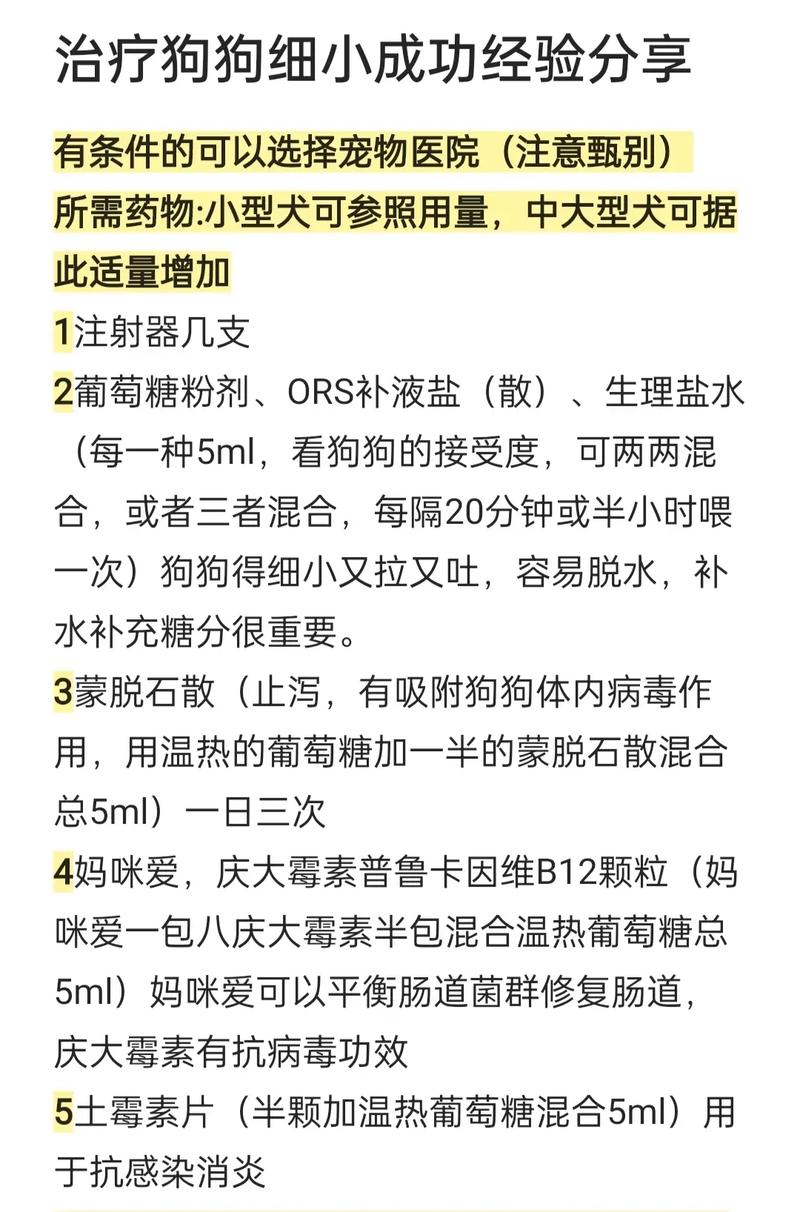 狗狗得了细小怎么办?