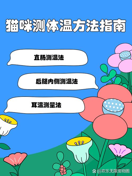 猫咪量体温的方法