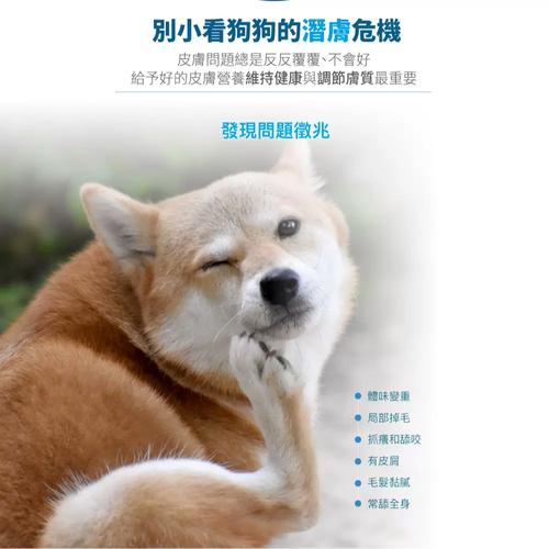 狗狗能吃黑布林吗?