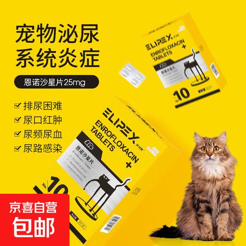 狗尿道口流脓吃啥药