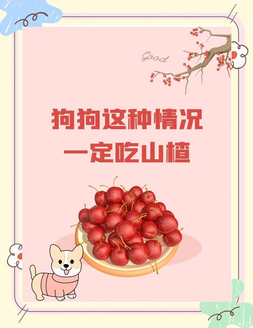 狗吃了山楂片会不会死