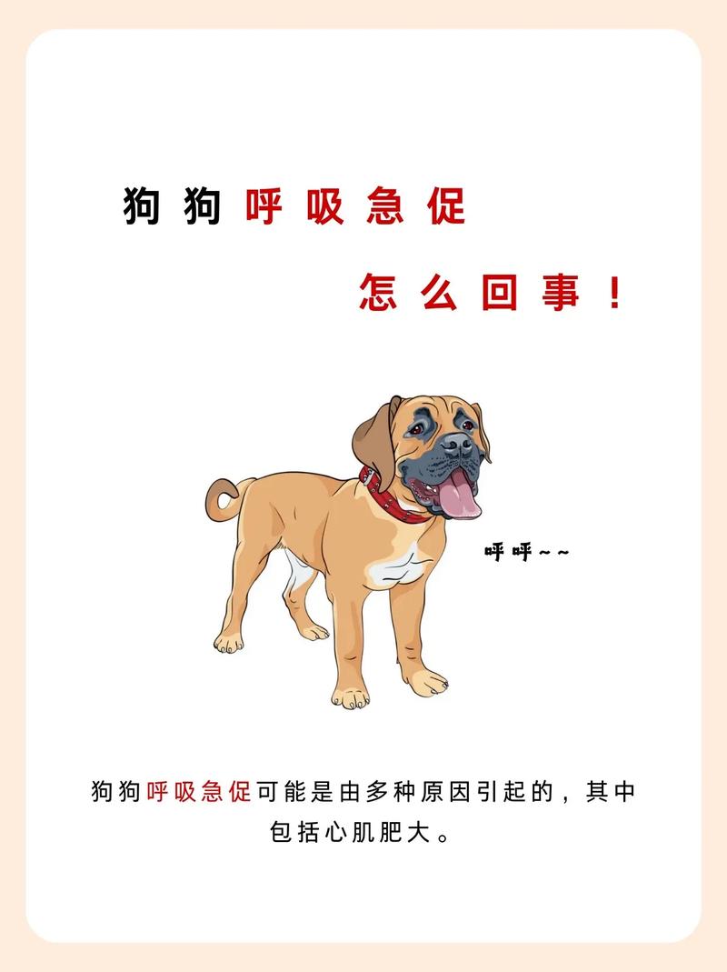 狗狗突然呼吸急促喘气声大怎么办吃什么药