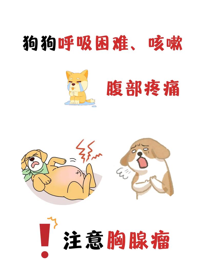 狗狗睡觉喘气很急促,怎么办