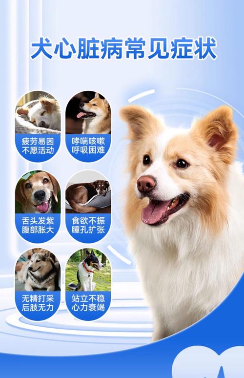 狗狗呼吸急促怎么办?