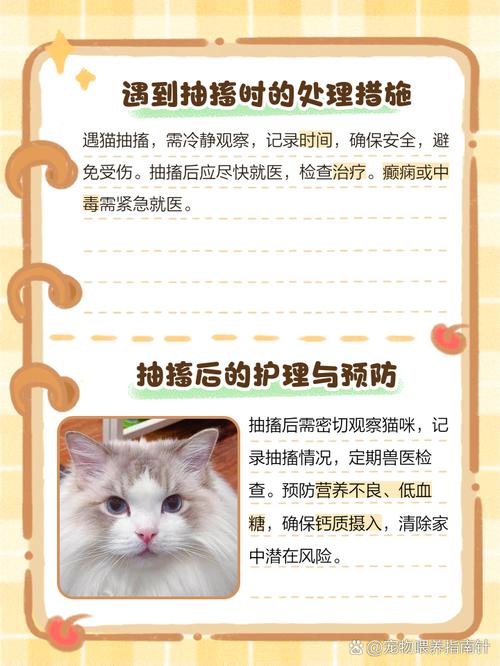 猫咪频繁喝水、发抖是怎么回事?