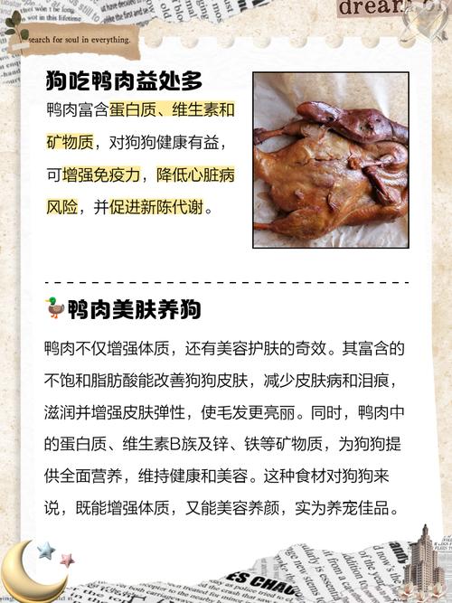 为啥狗狗不能吃鸭肉