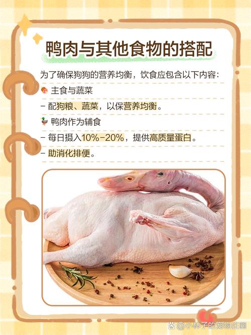 狗狗长期吃鸭肉的危害