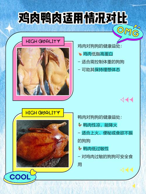 给狗狗喂肉是鸡好还是鸭肉好?