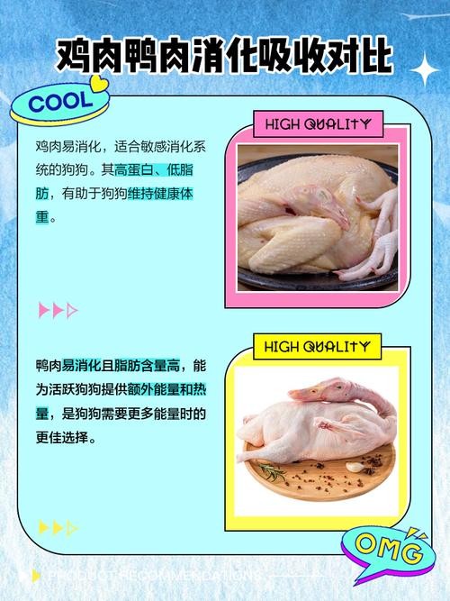 鸭肉可以给狗狗吃吗?