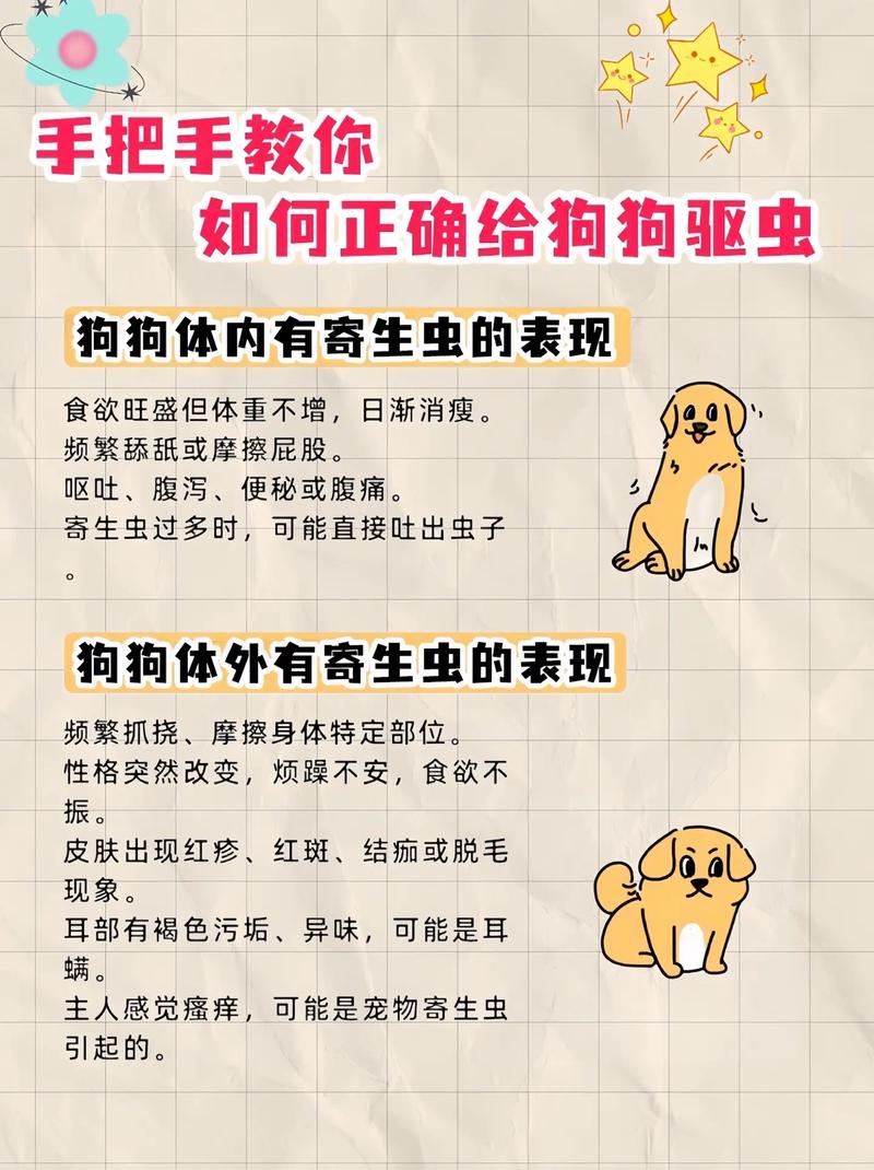 狗狗得了寄生虫的症状会传染人吗