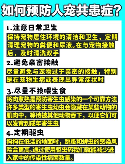 狗狗得了血源寄生虫病会传染给人吗
