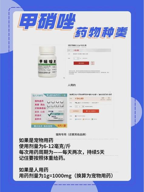 猫可以吃人的消炎药么?