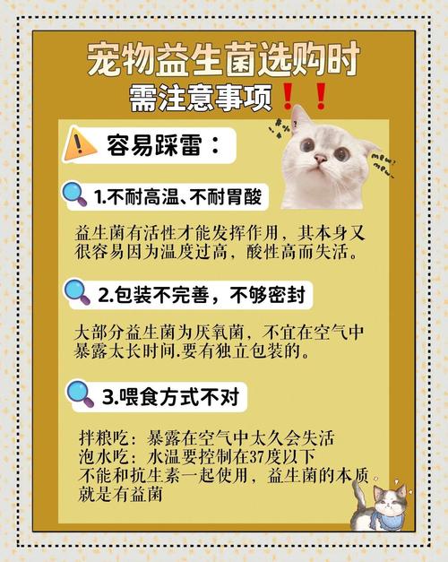 人吃的益生菌猫能吃吗?