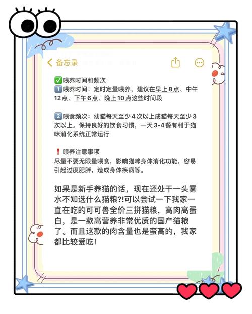 三个月大的小猫一天吃几顿合适?