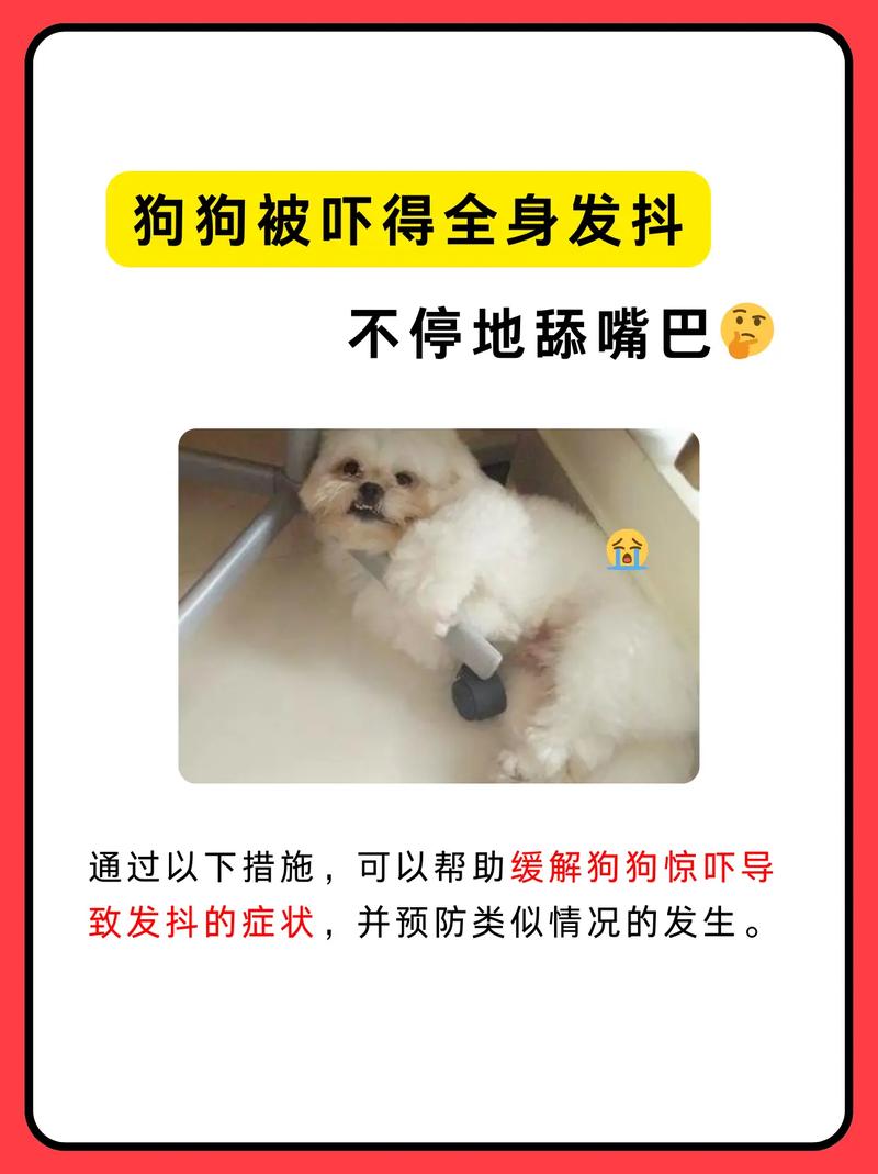 就是我家小狗,我昨天吓唬他一下狗狗吓掉魂了怎么办狗狗吓掉魂了,怎么...