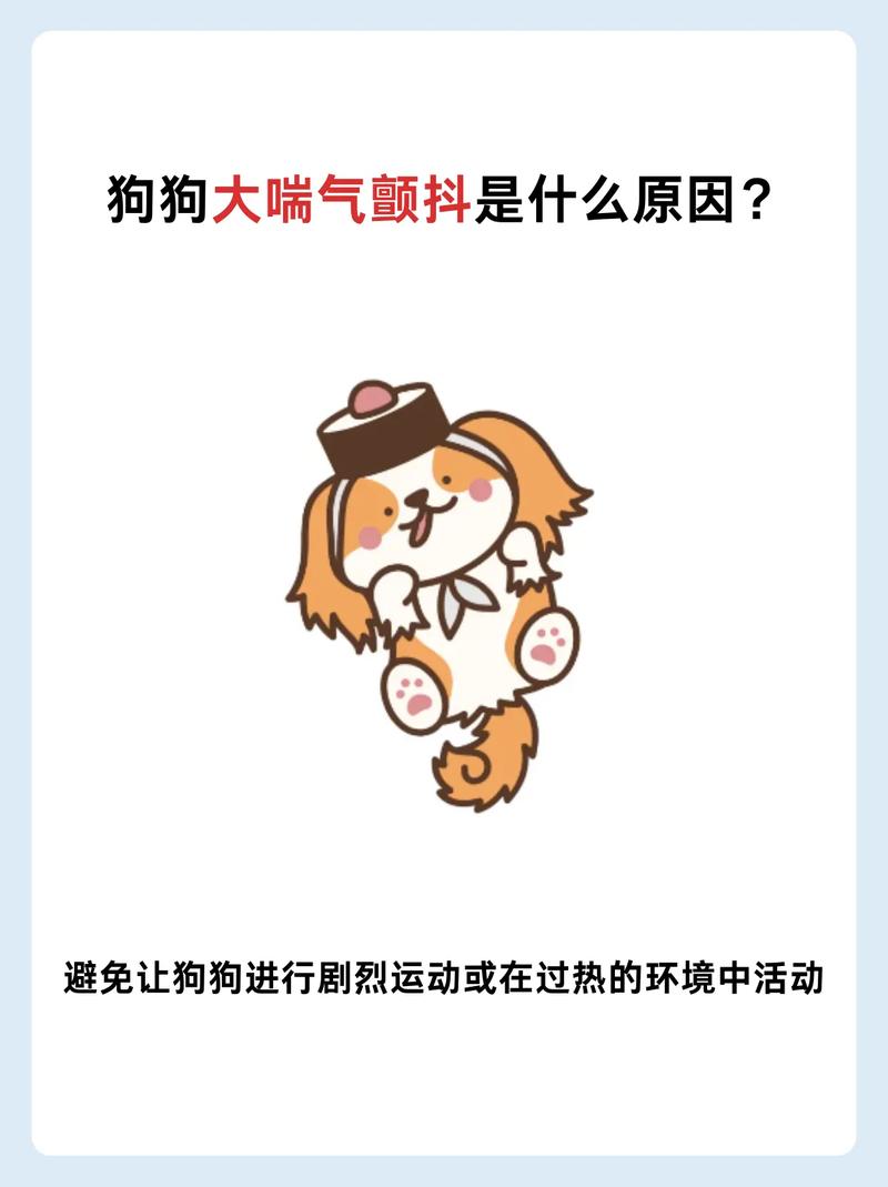 狗狗被吓到了怎么办