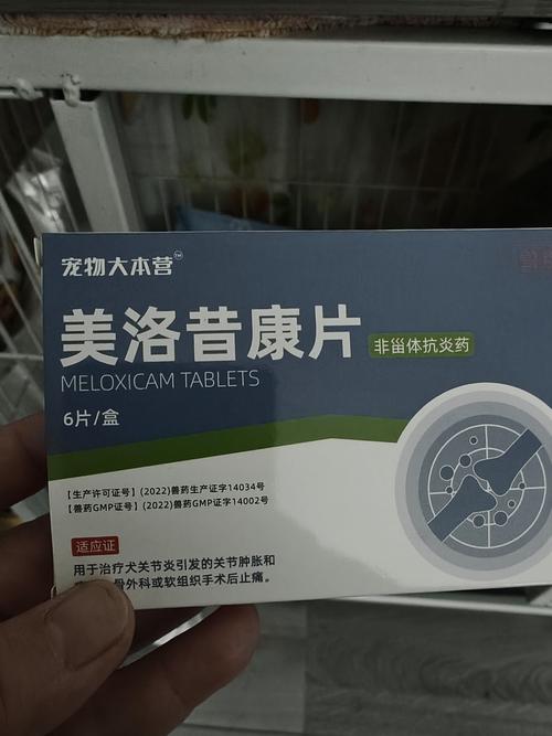 狗狗腿断了吃什么消炎药