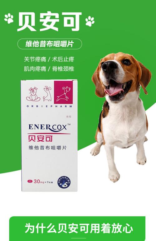 狗狗被车撞骨折后吃什么药对狗狗好?