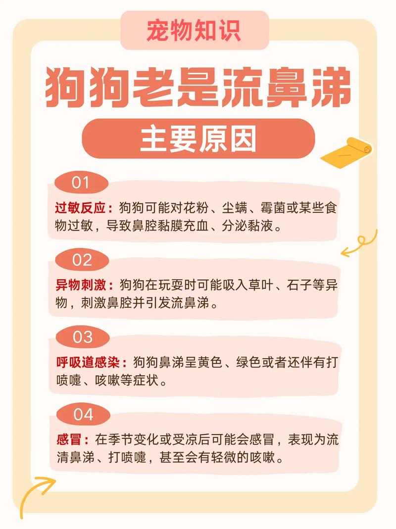狗流鼻涕一直不好怎么回事?