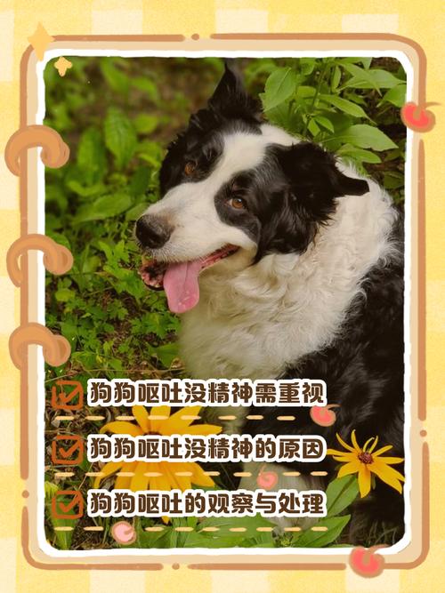 狗狗流鼻涕是什么原因?