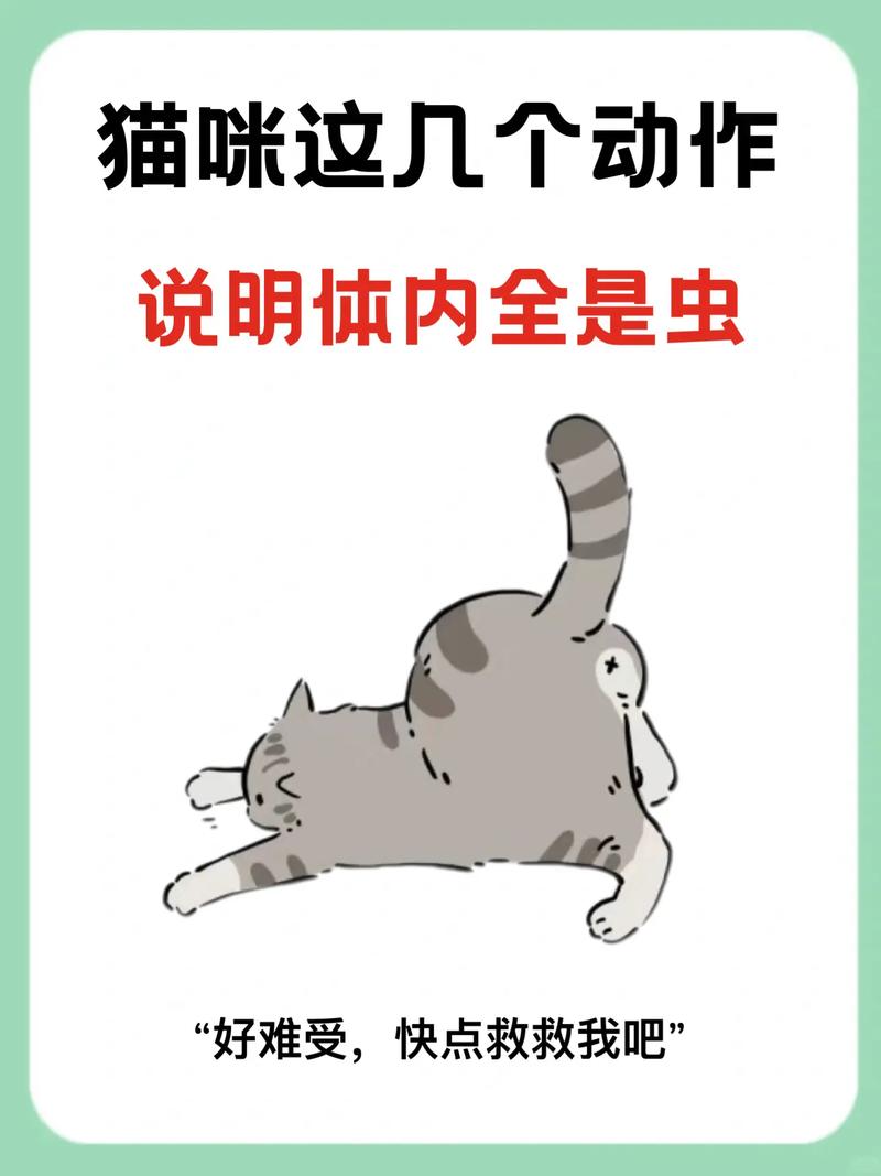 猫咪体内有虫子是什么症状