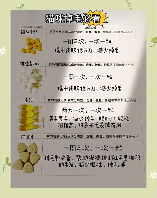 老猫皮肤病吃什么维生素