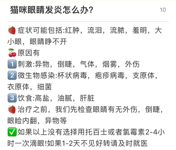 猫咪眼睛经常发炎是什么原因?