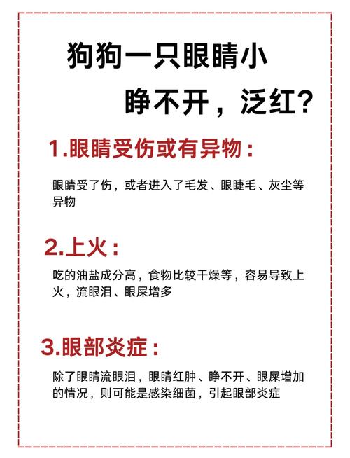 狗狗眼睛红怎么办?