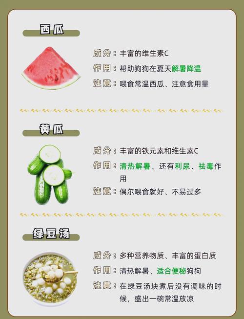 狗狗体内有火怎么排出来