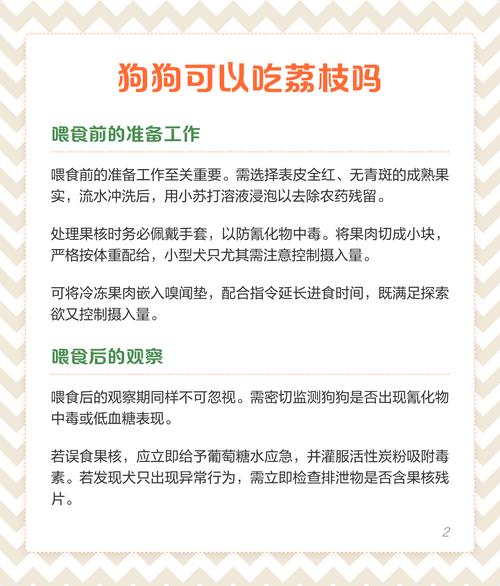 狗狗可以吃荔枝吗