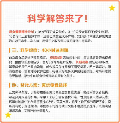 狗狗能不能吃荔枝?