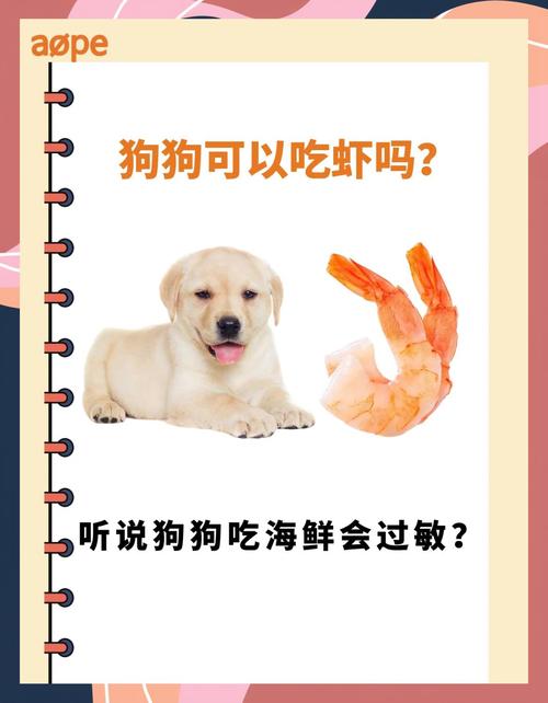 狗吃海鲜过敏症状