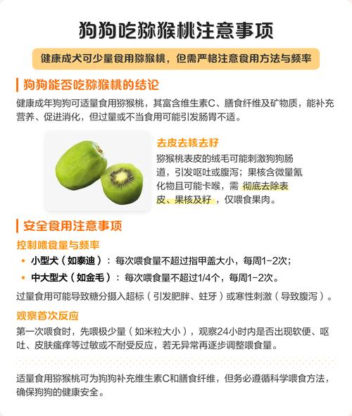 狗狗可以吃猕猴桃不