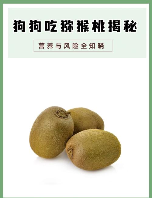 狗狗偷吃了猕猴桃会有危险吗?