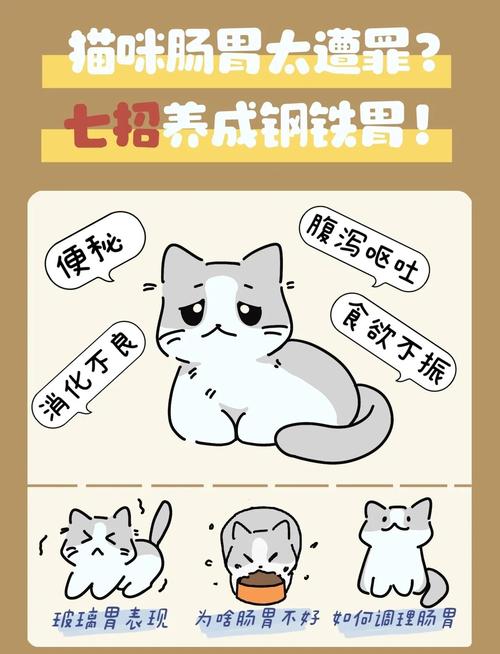猫咪“肠胃”不好怎么办?多吃这几个食物,和玻璃胃说拜拜