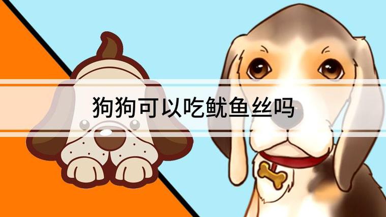 狗狗吃鱿鱼的危害