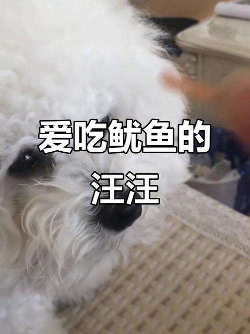 狗狗吃了鱿鱼丝多久会死