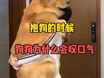 为什么抱狗狗它会叹气