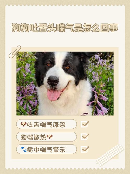 狗狗挨骂为什么叹气